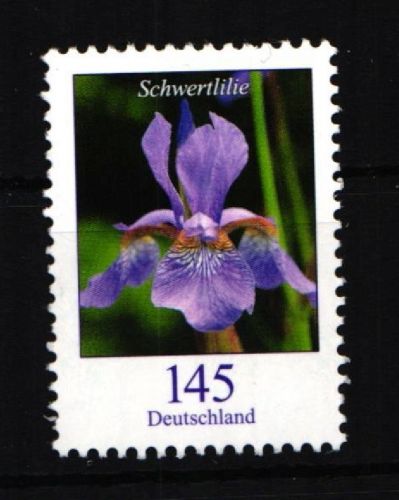 BRD 2507 RE 1 postfrisch Rollenmarke #IO327
