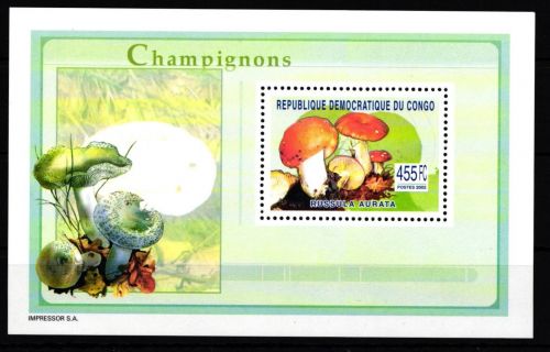 Kongo (Kinshasa) 1766 postfrisch Einzelblock / Pilze #HR905