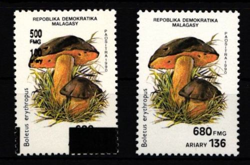 Madagaskar 1292 und 2117 postfrisch Pilze #IH502