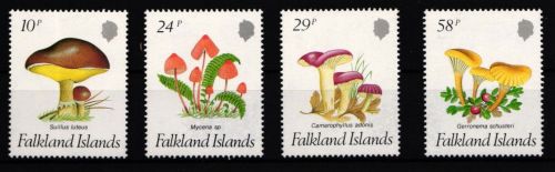 Falkland Inseln 468-471 postfrisch Pilze #JA773