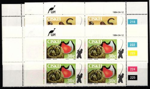 Ciskei 57-60 postfrisch als Viererblock mit Eckrand #JO525