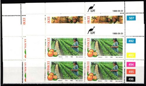 Ciskei 141-144 postfrisch als Viererblock mit Eckrand #JO543