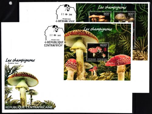 Zentralafrikanische Republik 8955-8958, Block 1985 gestempelt als FDC #JA926