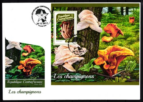 Zentralafrikanische Republik Block 1695 gestempelt als FDC / Pilze #JA940