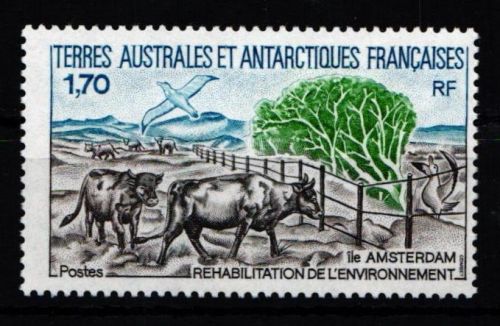 Französische Gebiete in der Antarktis (TAAF) 260 postfrisch #JY766