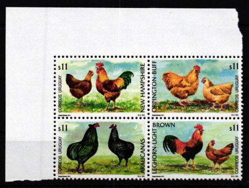 Uruguay 2608-2611 postfrisch als 4er Block, Hühnerrassen #JV548