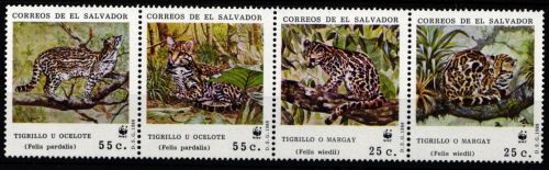 El Salvador 1734-1737 postfrisch Raubkatze, Ozelot #JW489