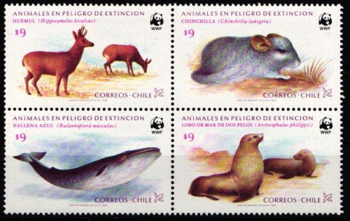 Chile 1066-1069 postfrisch Wildtiere, Meeresfauna #JW529