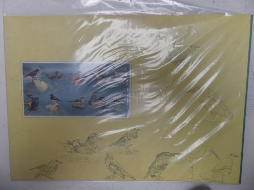 Taiwan 1990-1999 postfrisch als Doppelbögen im Folder, Vögel #NF002