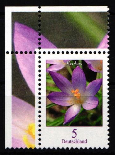 BRD 2480 postfrisch als Eckrand #NO194