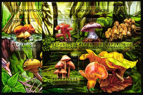 Zentralafrikanische Republik 5575-5578, Block 1337 postfrisch