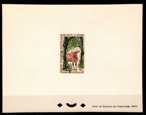 Elfenbeinküste 257