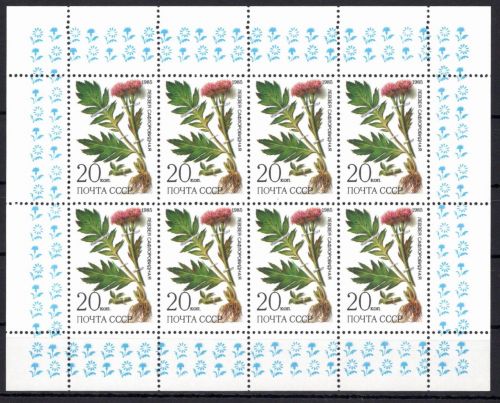 Sowjetunion 5531 postfrisch