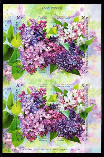 Russland 2546-2549 postfrisch als Folienblatt #DBM11