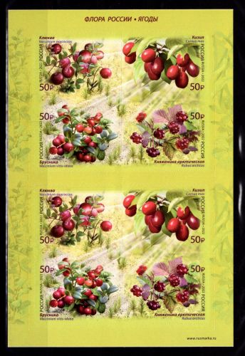 Russland 3114-3117 postfrisch als Folienblatt #DBM45