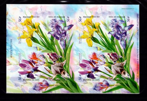 Russland 2965-2968 postfrisch als Folienblatt #DBM93