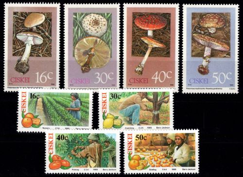Südafrika Ciskei 141-148 postfrisch #DGN70