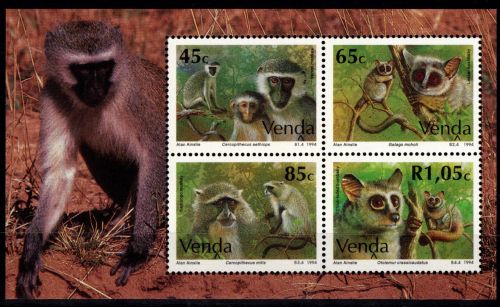 Südafrika Venda Block 12 postfrisch #DGN84