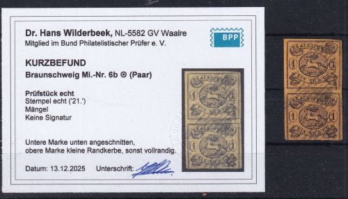 Braunschweig 6 b gestempelt im Paar, Befund Wilderbeek BPP, Mängel #DGW03