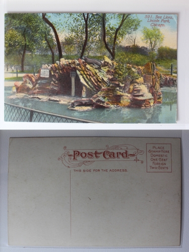 AK Chicago Illinois Sea Lions Lincoln Park 1911 ungebraucht #PA424