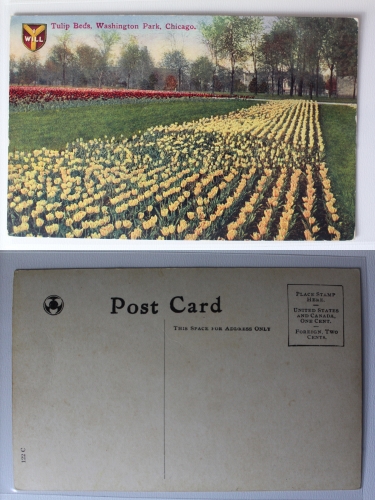 AK Chicago Illinois Tulip Beds Washington Park ungebraucht #PA442