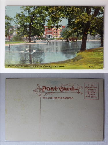AK Chicago Illinois Duck Pond Washington Park 1911 ungebraucht #PA443