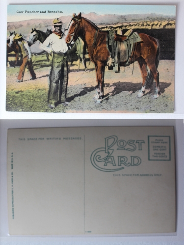 AK Cow Puncher and Broncho ungebraucht #PA464