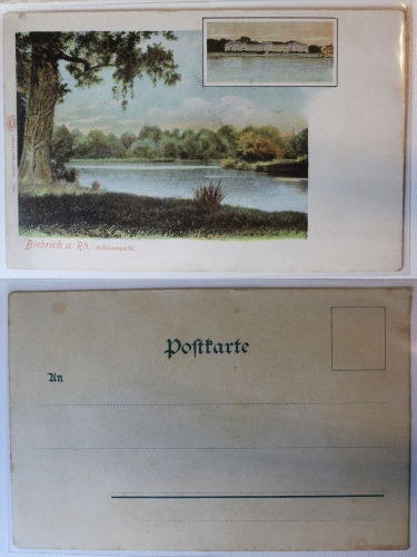 AK Biebrich am Rhein Schlosspark Wiesbaden ungebraucht #PA495