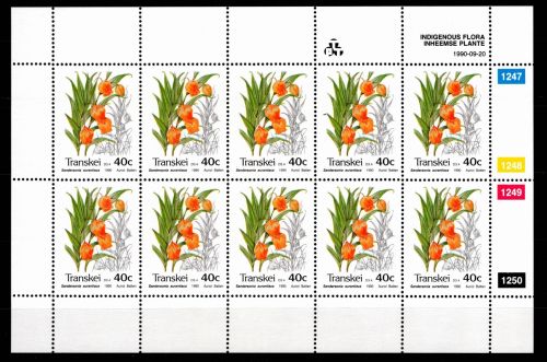 Südafrika Transkei 261 postfrisch Kleinbogen #DFG20