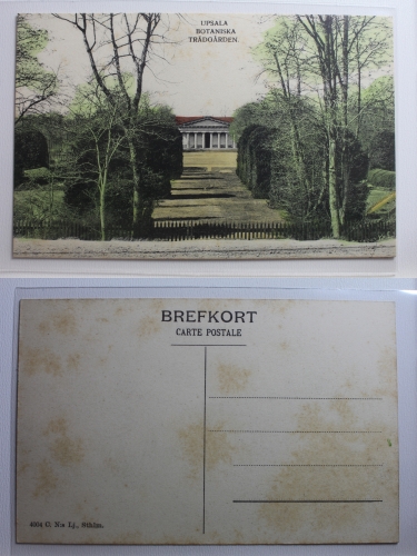AK Uppsala Botaniska Trärdgärden ungebraucht #PB842
