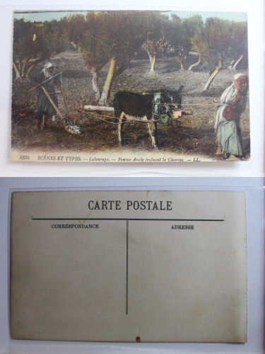 AK Scenes et Types Labourage, Femme Arabe trainant la Charrue ungebraucht #PB895