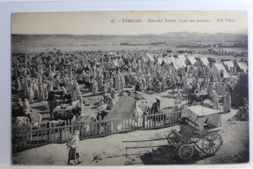 AK Timgad Marché Arabe (tous les jeudis) ungebraucht #PC751