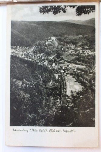 AK Schwarzburg Blick vom Trippstein ungebraucht #PD324
