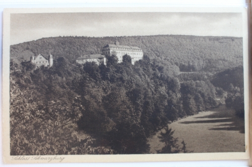 AK Schwarzburg Schloss mit Hirschwiese ungebraucht #PD329