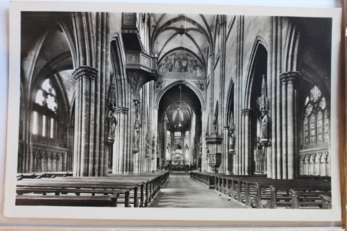 AK Freiburg i. BR. Münster ungebraucht #PD346