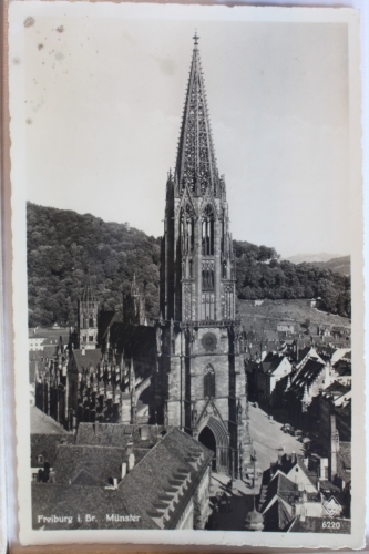 AK Freiburg i. BR. Münster ungebraucht #PD347