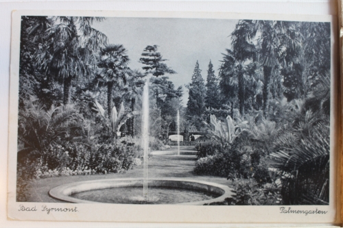 AK Bad Pyrmont Palmengarten 1942 gebraucht #PD371