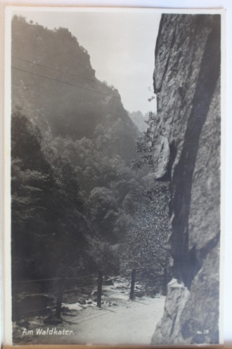 AK Treseburg Harz - Am Waldkater gebraucht #PD383