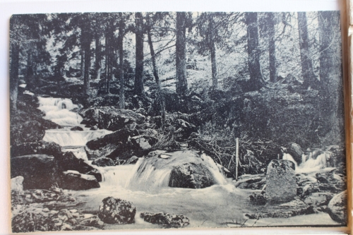 AK Ilsenburg (Harz) Ilsefälle am Bremerweg ungebraucht #PD389