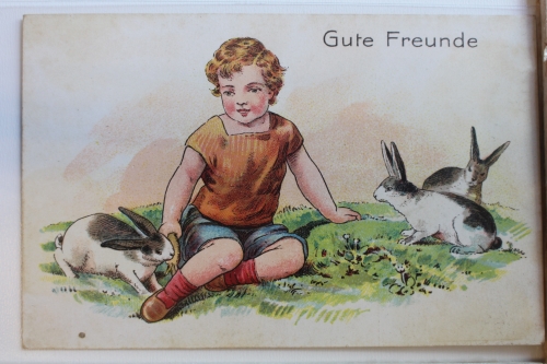 AK Deutschland Grußkarte ungebraucht #PD648