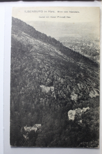 AK Ilsenburg (Harz) Ilsenttal mit Hotel Prinzeß Ilse 1924 gebraucht #PD860