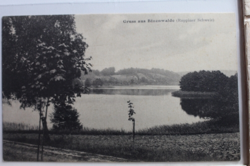 AK Binenwalde (Ruppiner Schweiz) Grußkarte ungebraucht #PE213