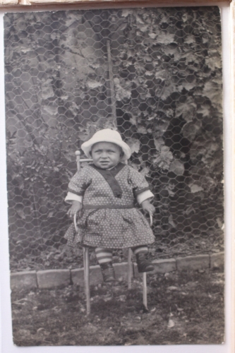 AK Deutschland Porträtkarte 1908 gebraucht #PE225