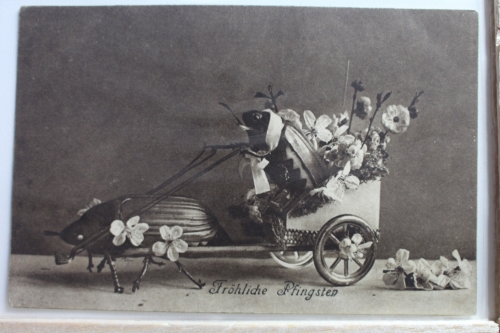 AK Deutschland Grußkarte 1913 gebraucht #PE266