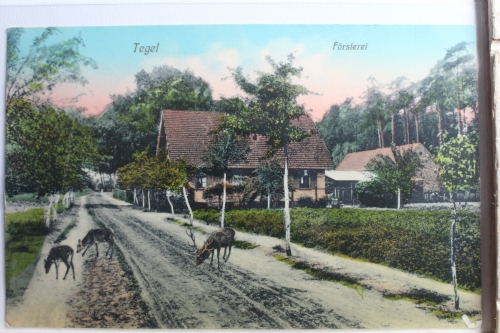 AK Tegel Försterei 1911 gebraucht #PE563