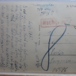 AK Sangerhausen Rathaus 1949 gebraucht #PF060