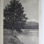 AK Seefeld Motiv mit Hohe Munde 1927 gebraucht #PF204