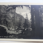AK Bad Gastein Anlauftal m. Ankogel 3262 m ungebraucht #PF339