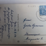 AK Egeln Partie am Volksgut 1959 gebraucht #PF651