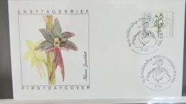 Deutschland Allgemein FDCs mit besseren im Lindner Binder #AAA83